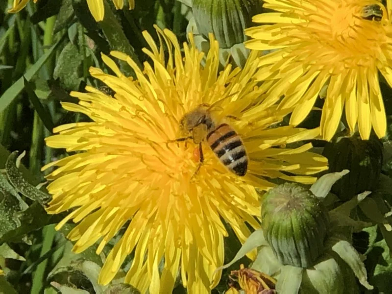 BLOGG2019-05-17 10.16.11.jpg