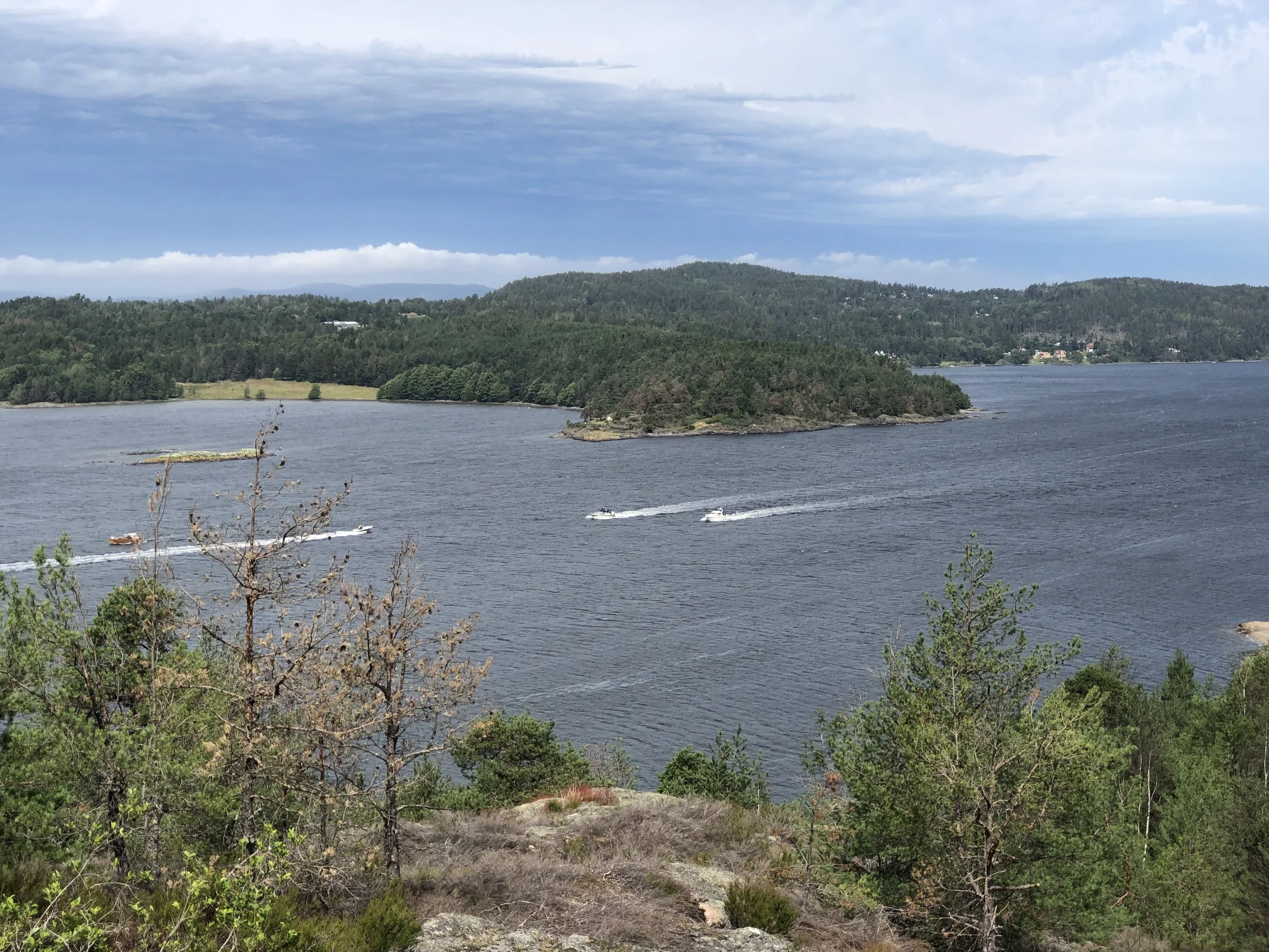 Betegnende for juni 2019: Båter på sjøen tross truende skyer, her sett fra Røysåsen