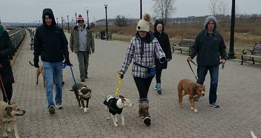 packwalk.jpg