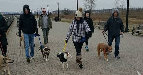 packwalk.jpg