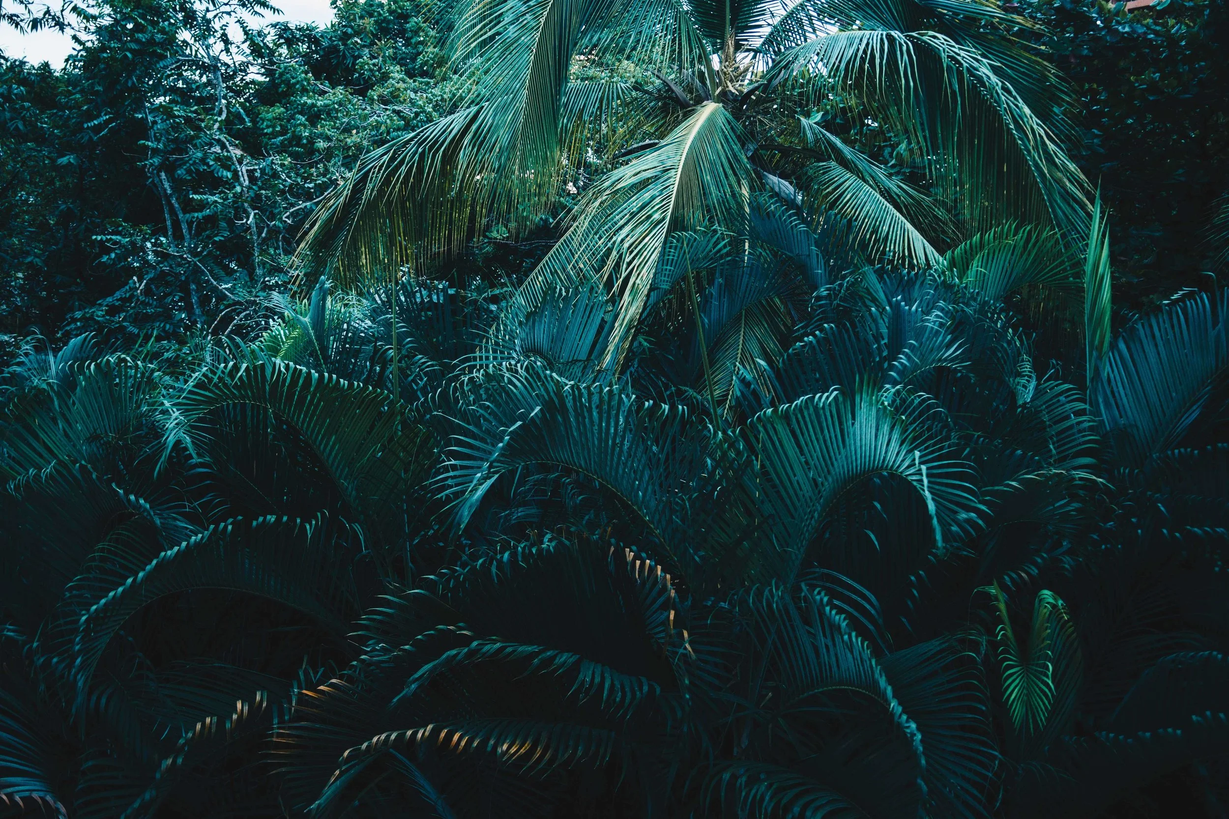 untitled-95.jpg