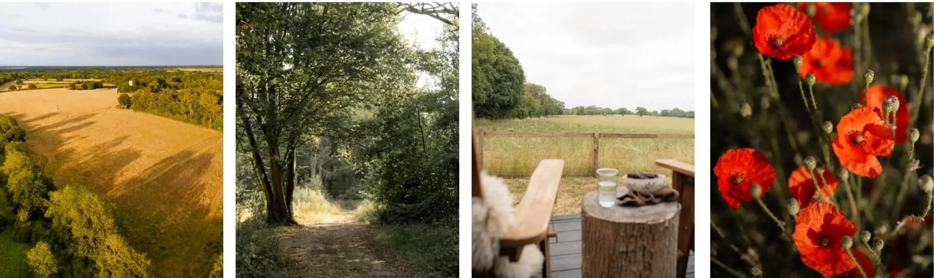 cabin and interior photographer