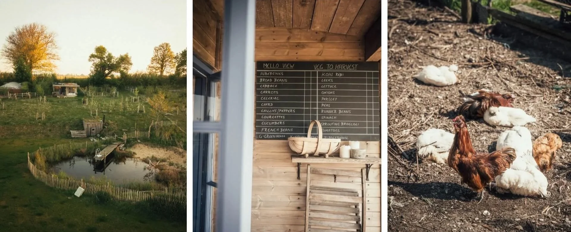 lifestyle, interior, cabin photographer