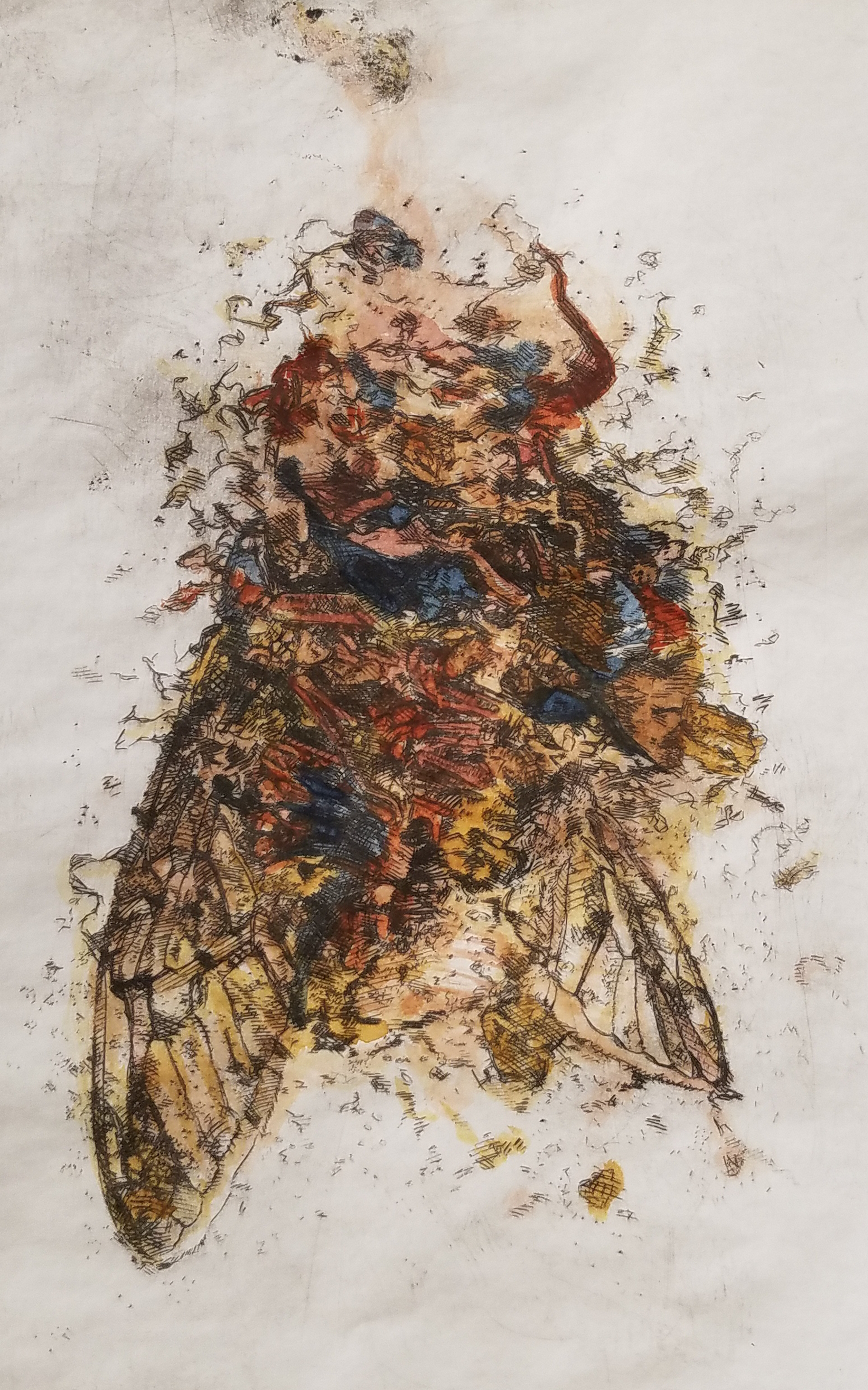 Cicada Misfortune (Color)