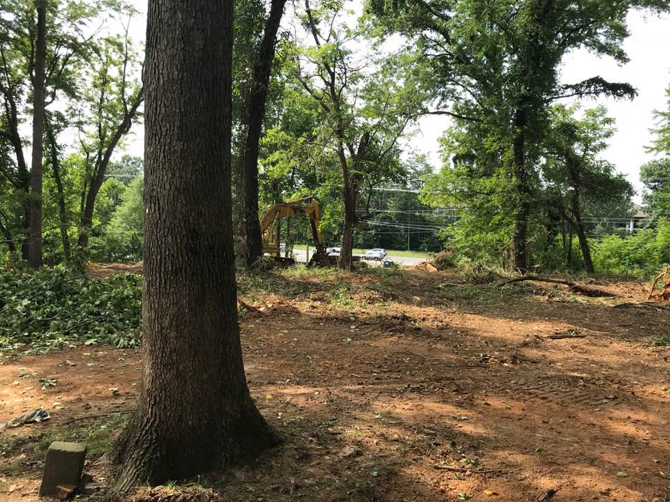 How our property looked 12 months ago.