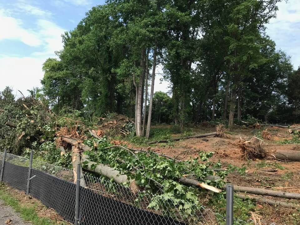 How our property looked 12 months ago.
