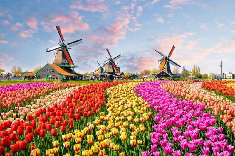 Dutch / Nederlands