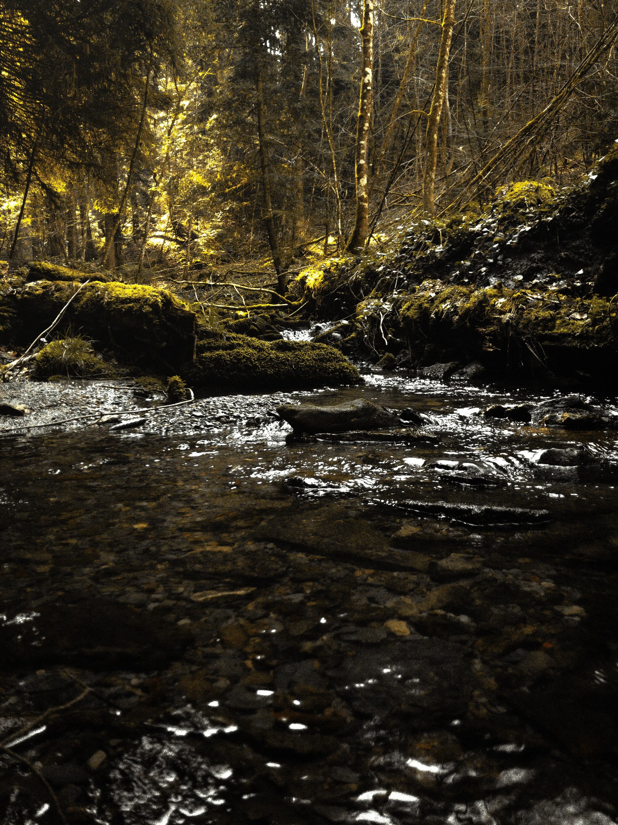 "SIGNS" | Week 2: Take Me To The River
