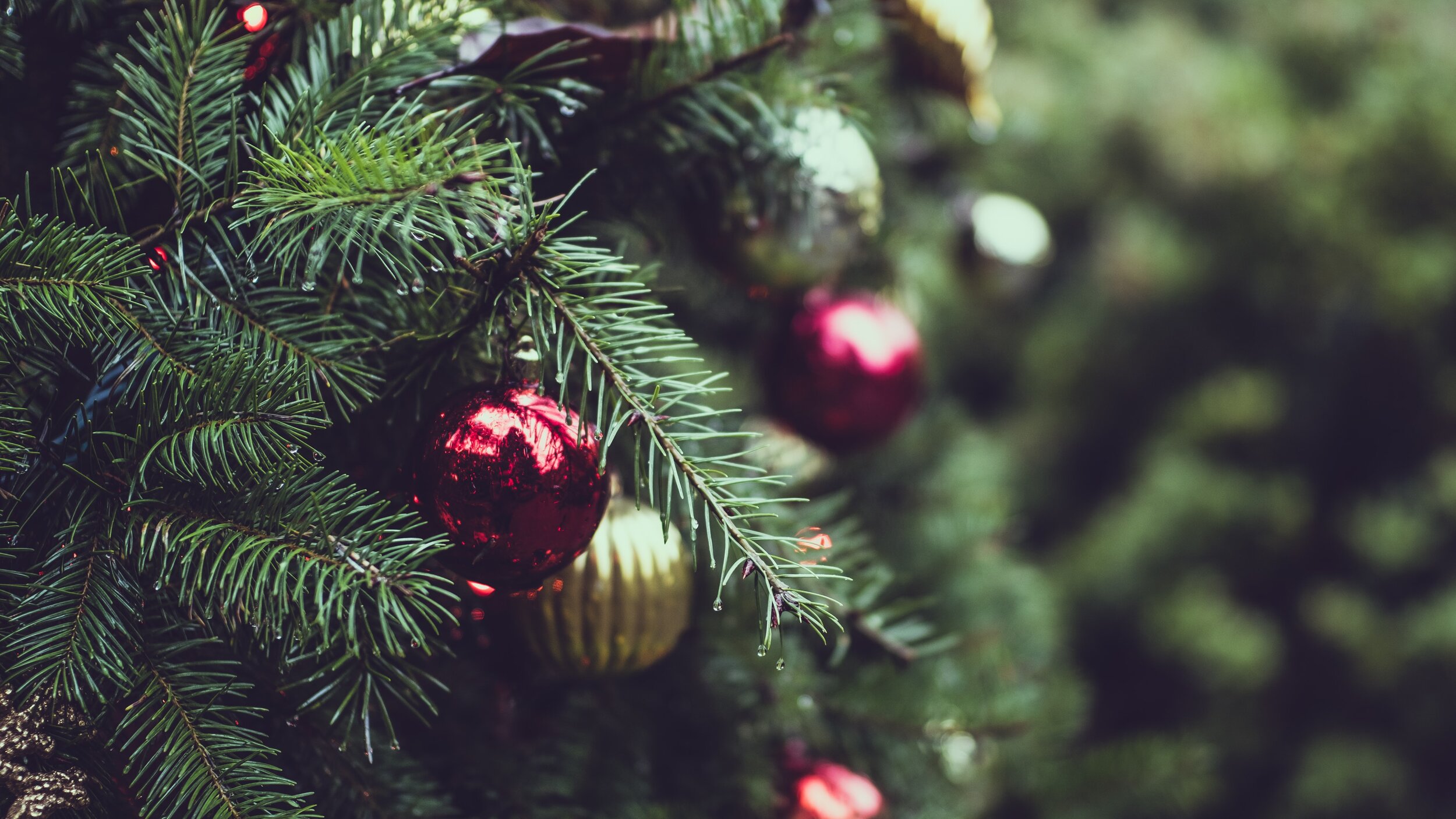 Christmas Eve Lessons &amp; Carols Service