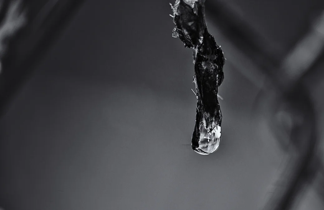 Raindrop