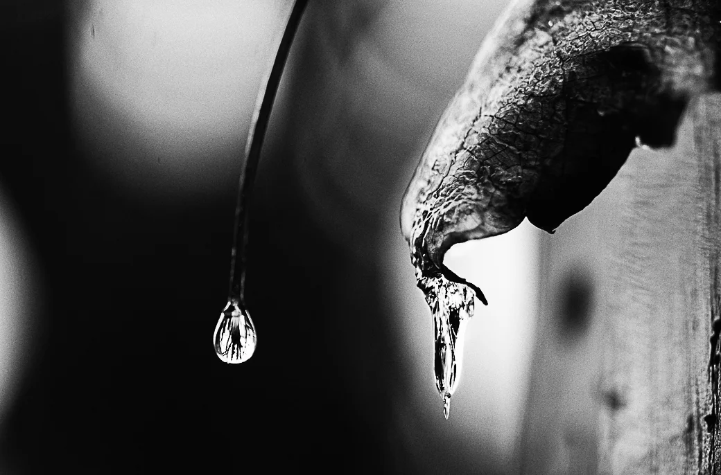 Raindrop