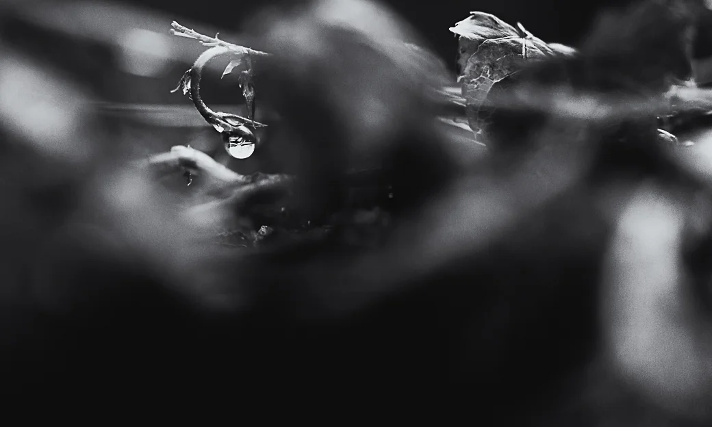 Raindrop