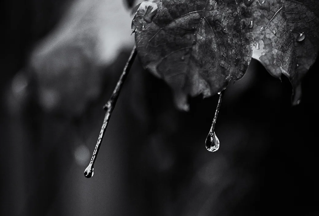 Raindrop
