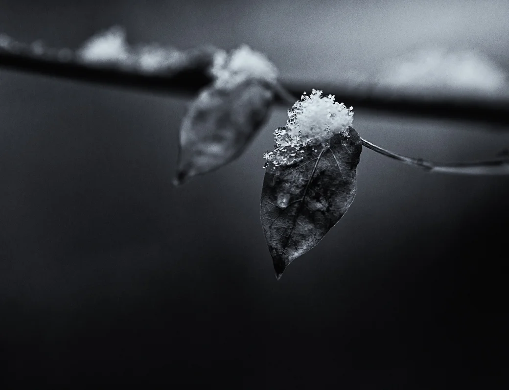 Snow