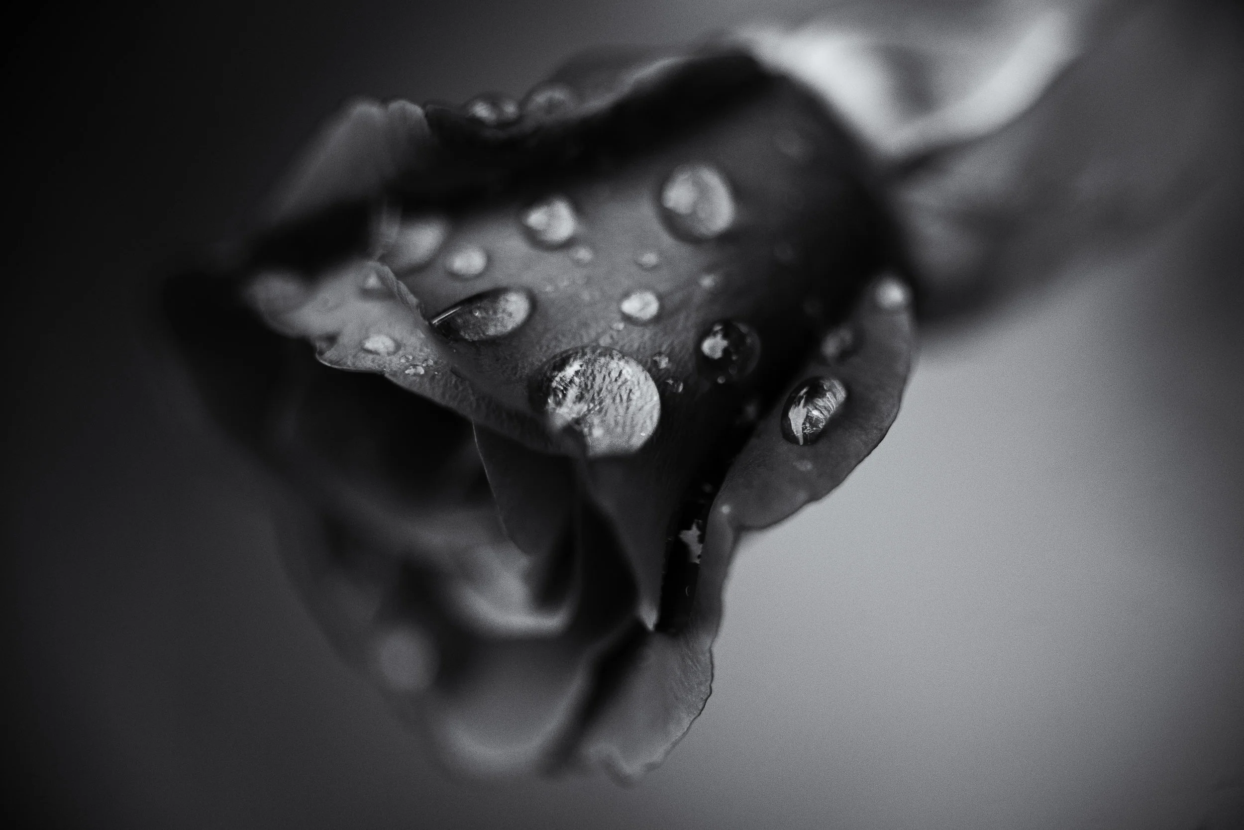 Raindrop