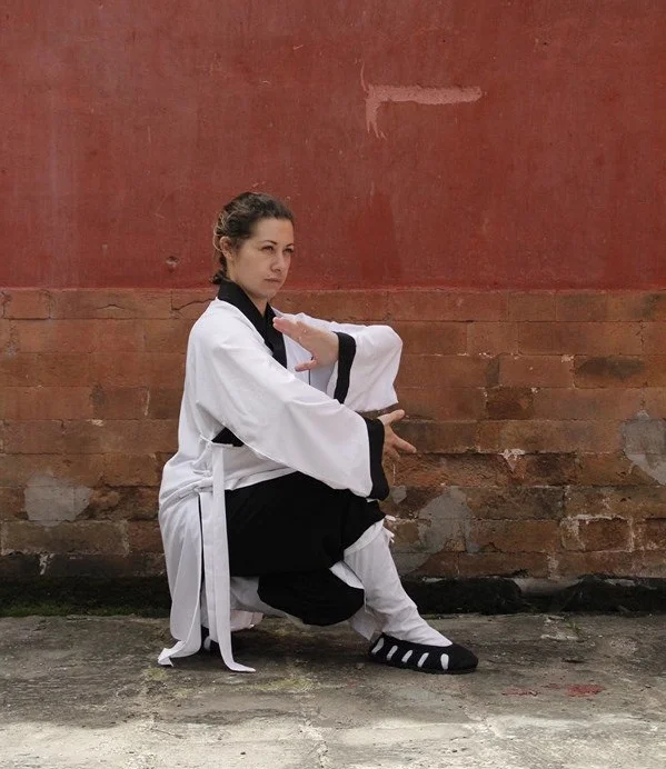 "Les 5 Animaux de Wudang", le stage Tai Chi - Qi Gong du Centre Thiêu Lâm