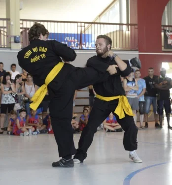 combat simulé forum blagnac