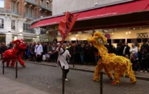 danse des licornes