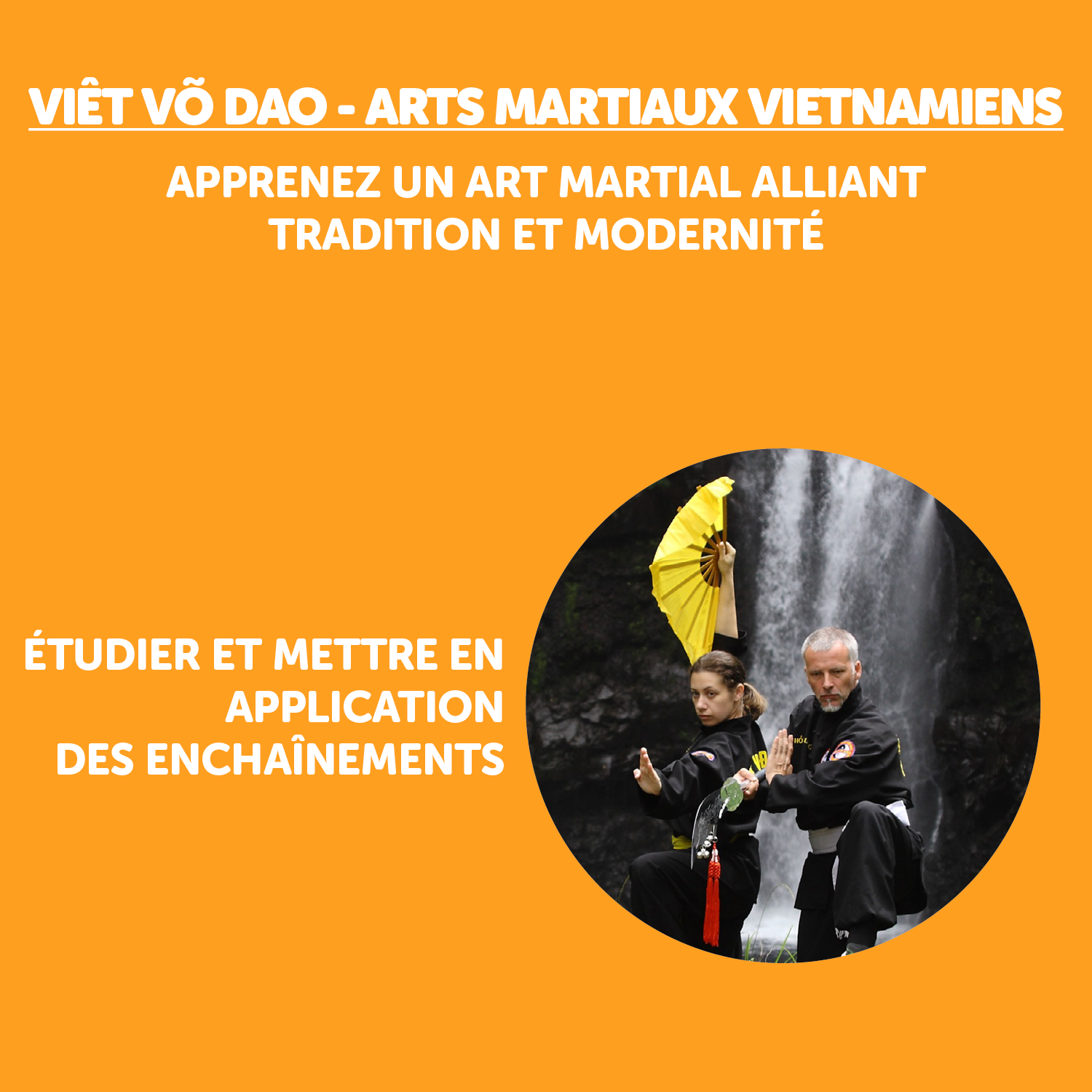 Viet_Vo_Dao_2b.png