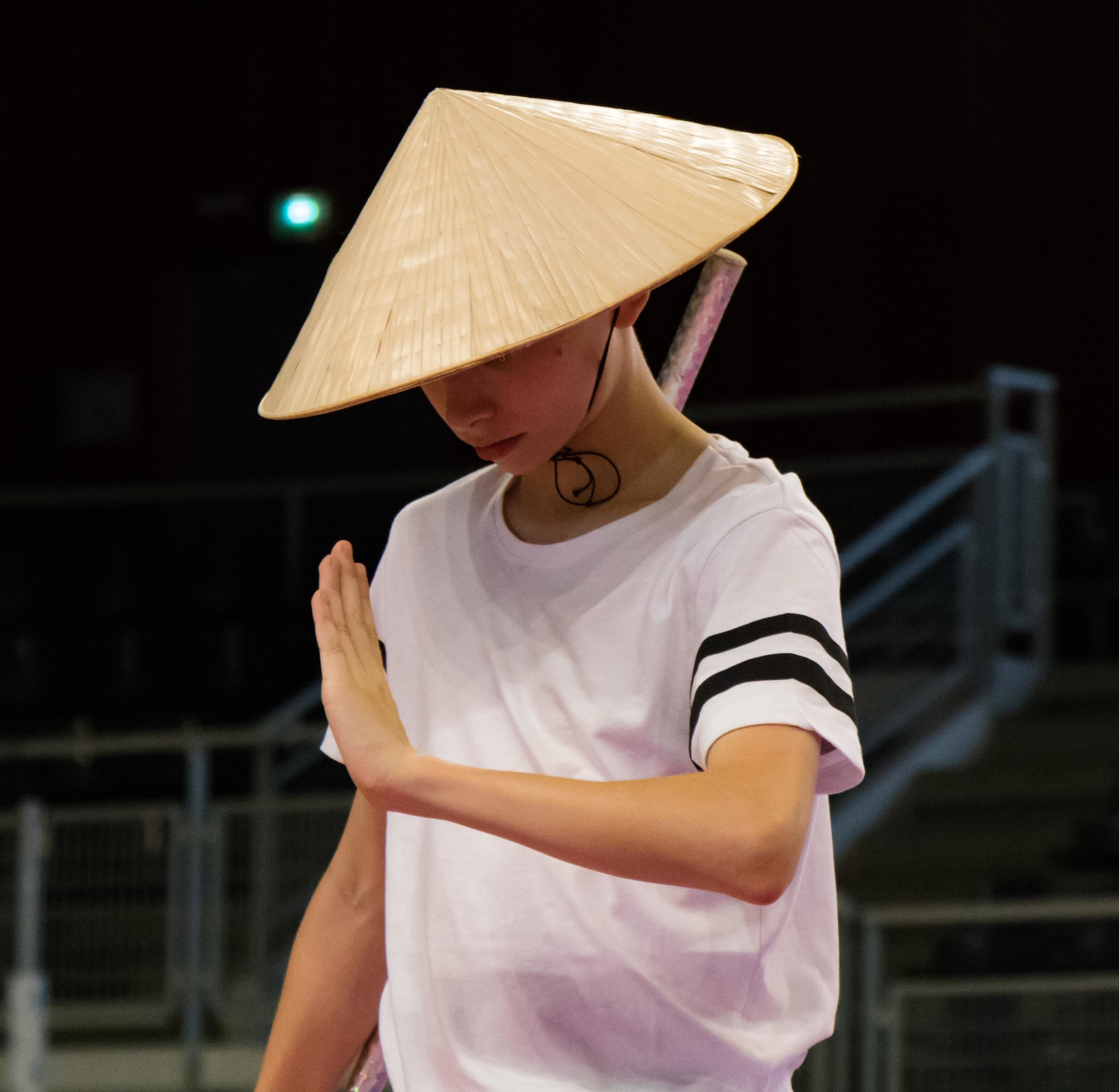 Retour sur le Spectacle de la 3e Rencontre des Arts Martiaux et du Mouvement