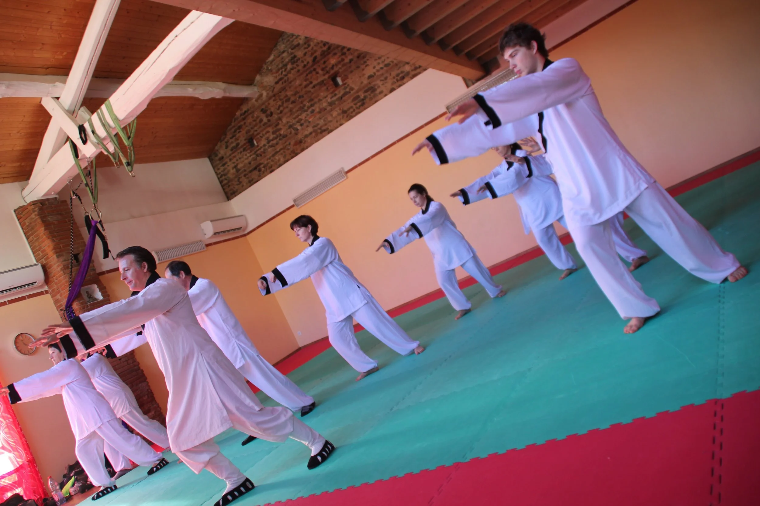 Activités Qi Gong et Tai Chi à Pibrac et à Aussonne