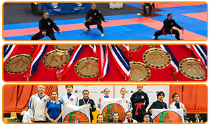 bouton_home_equipe_competition.png