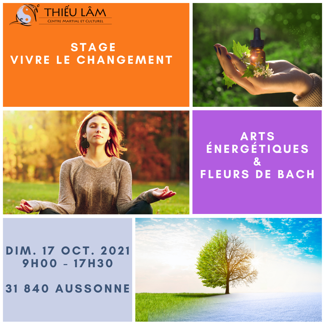 Stage Fleurs de Bach et énergie