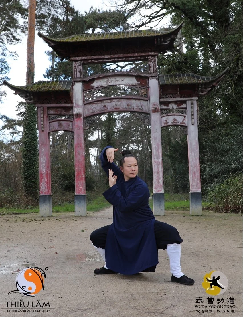 Stages privilégiés avec le Maître Yuan Limin - Tai Chi des 13 pas / Kung Fu