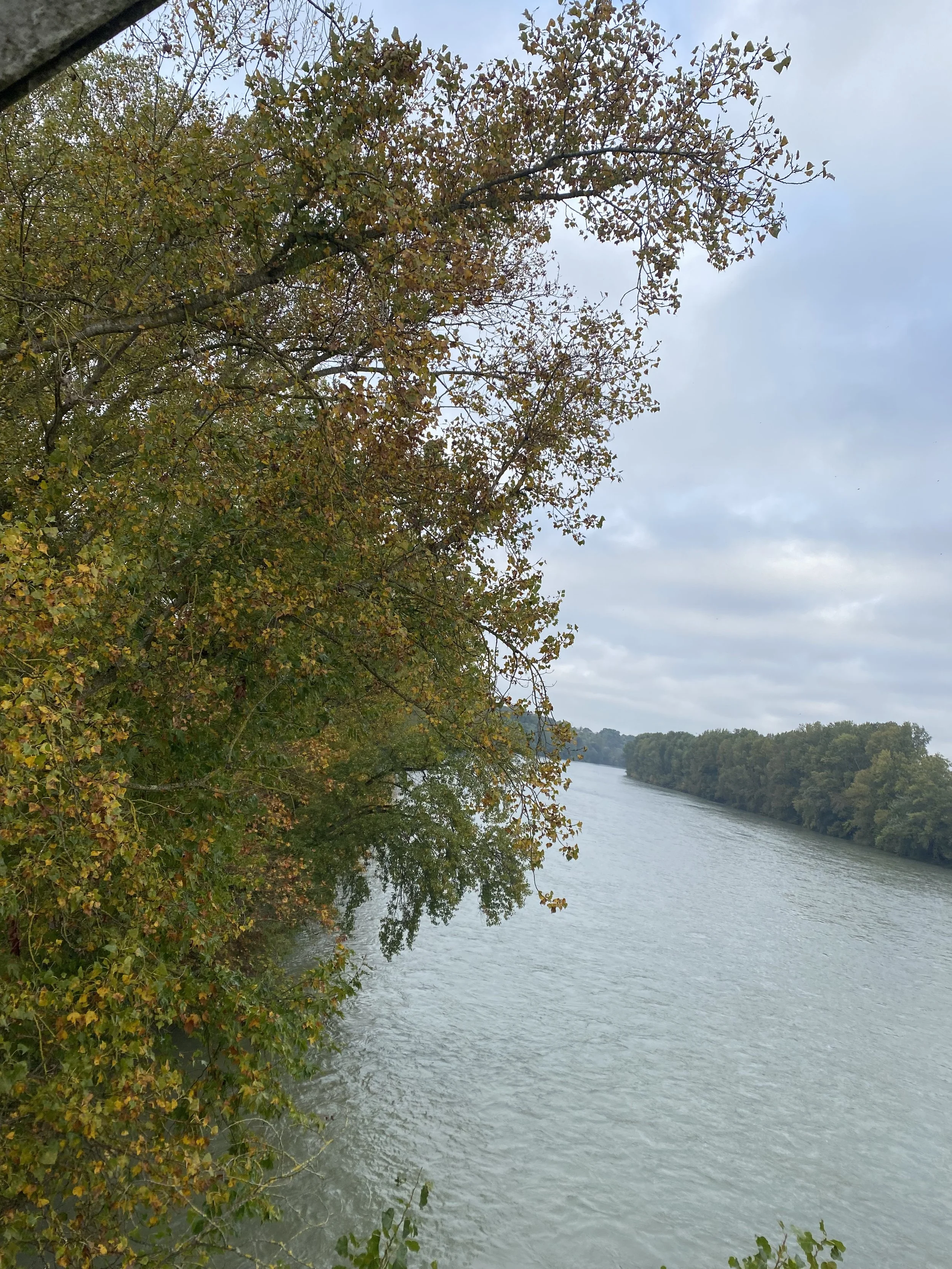 Randonnée Nature Seilh 2.jpeg