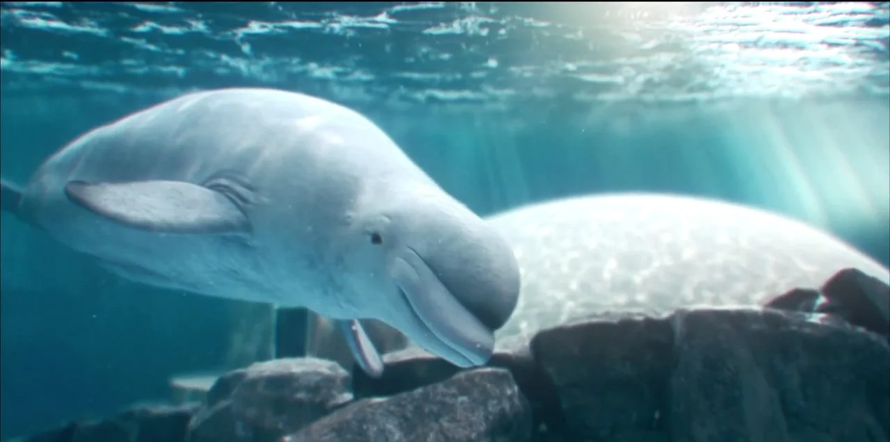 Oceanogràfic - Ciudad Sumergida