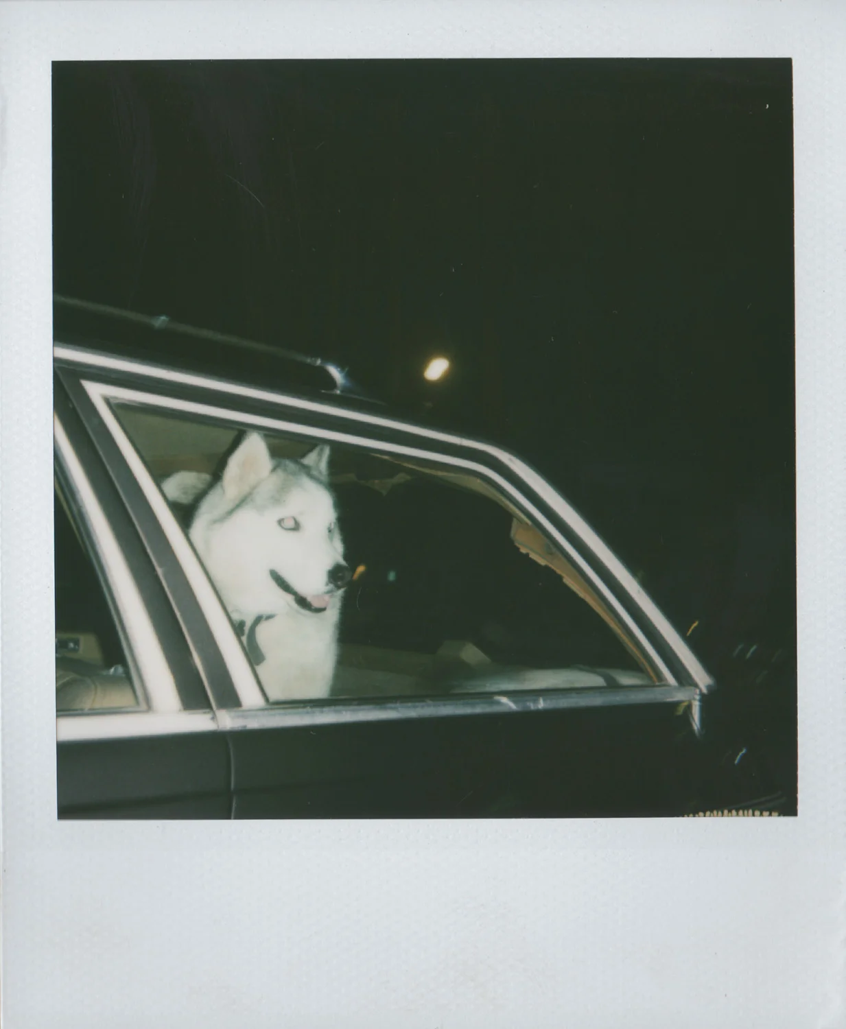 Howl at the moon