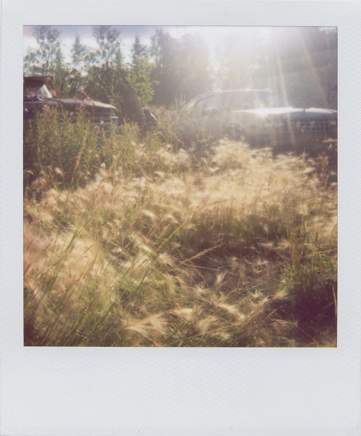 Signs of life
