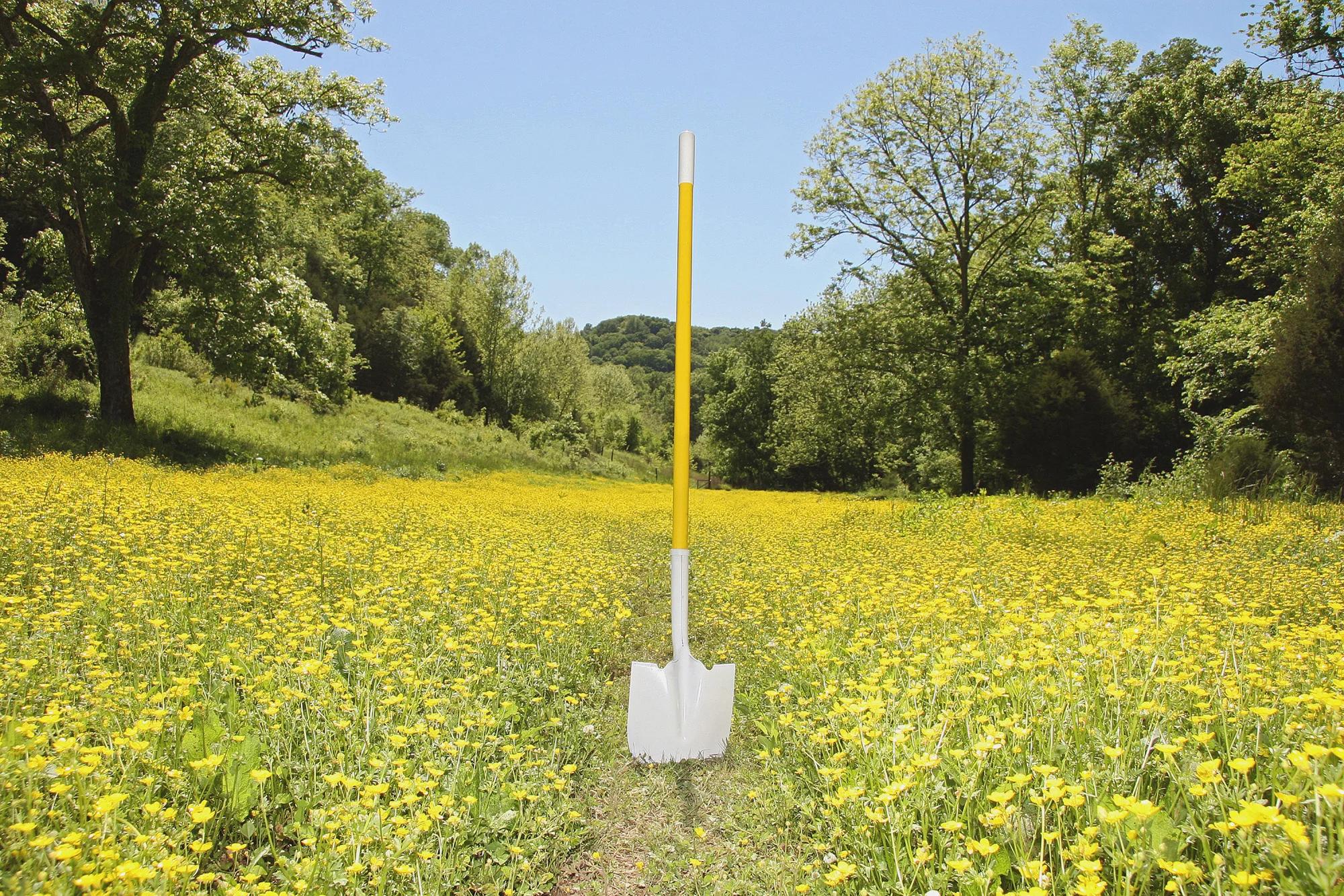 When I'm done don't bury me (just lay me in a field of flowers)