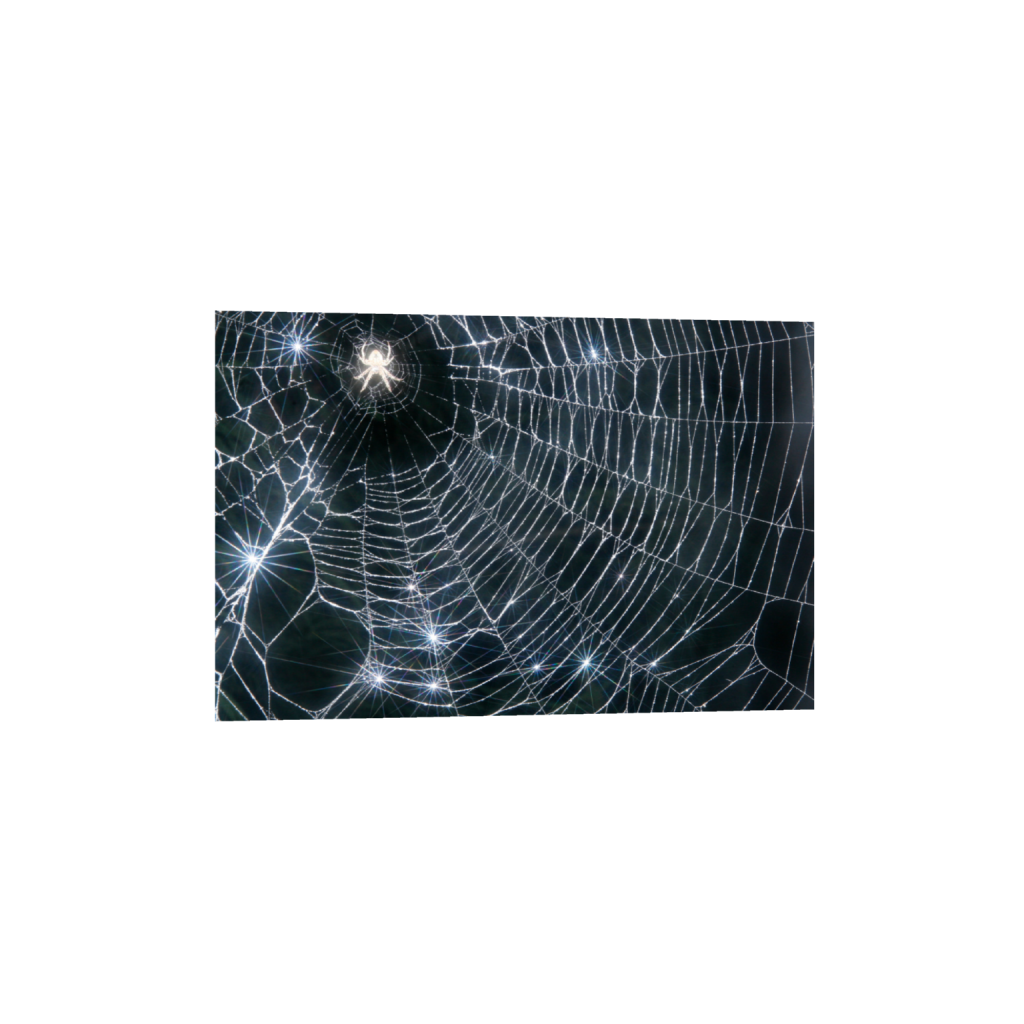 ptq_1_3_0_0_3504_2336_0_false_ffffff_0_0_.png