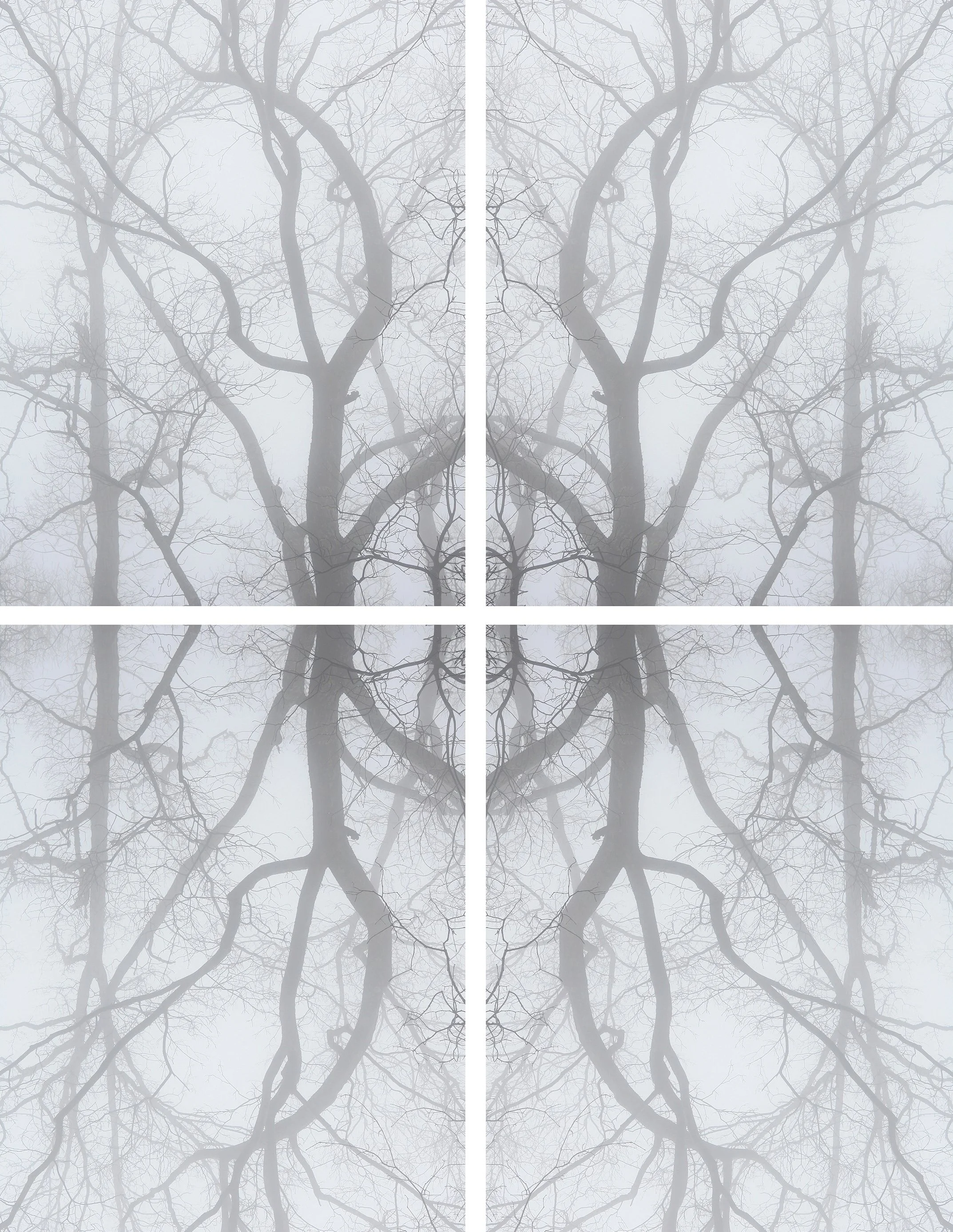 Energy signature (root and crown)