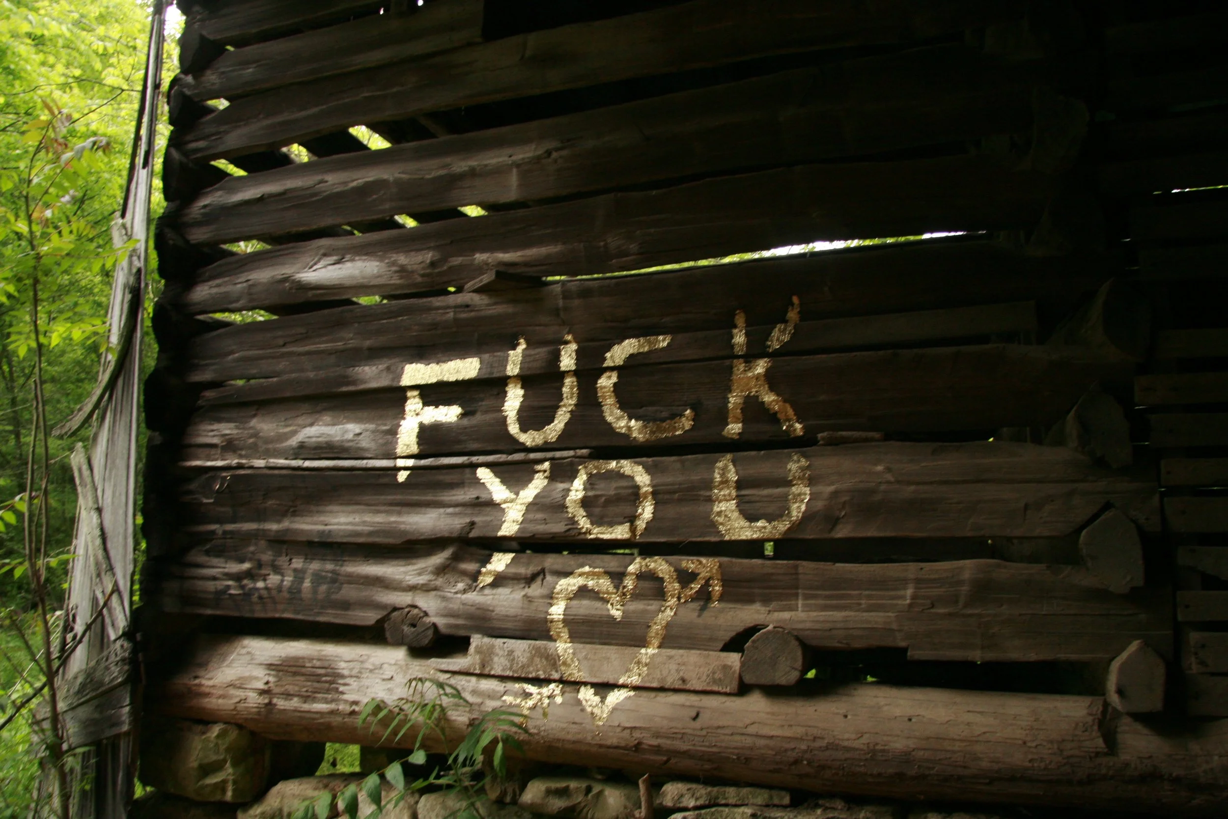 Fuck you with feeling