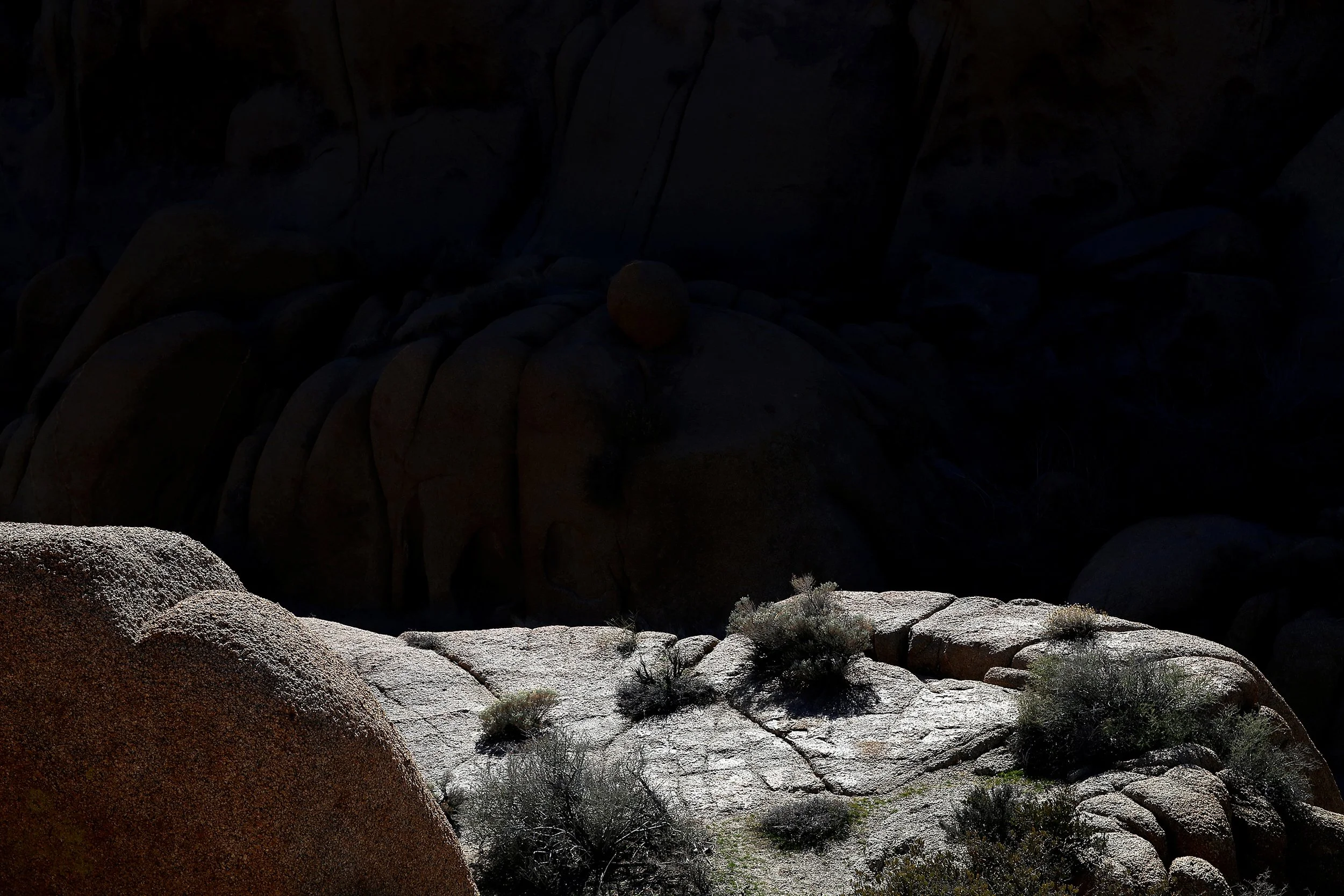 Joshua Tree.jpg