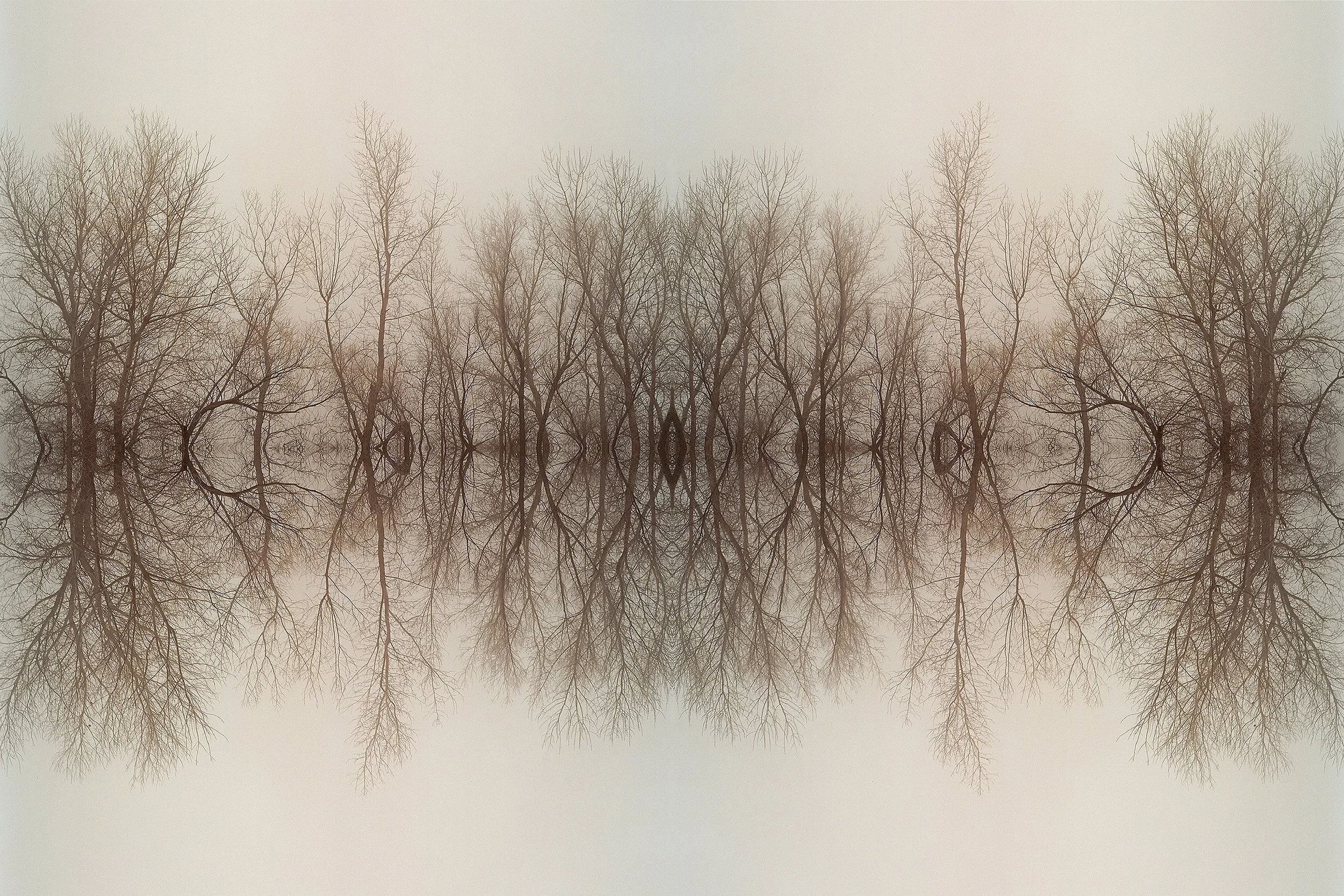 Forest 2030