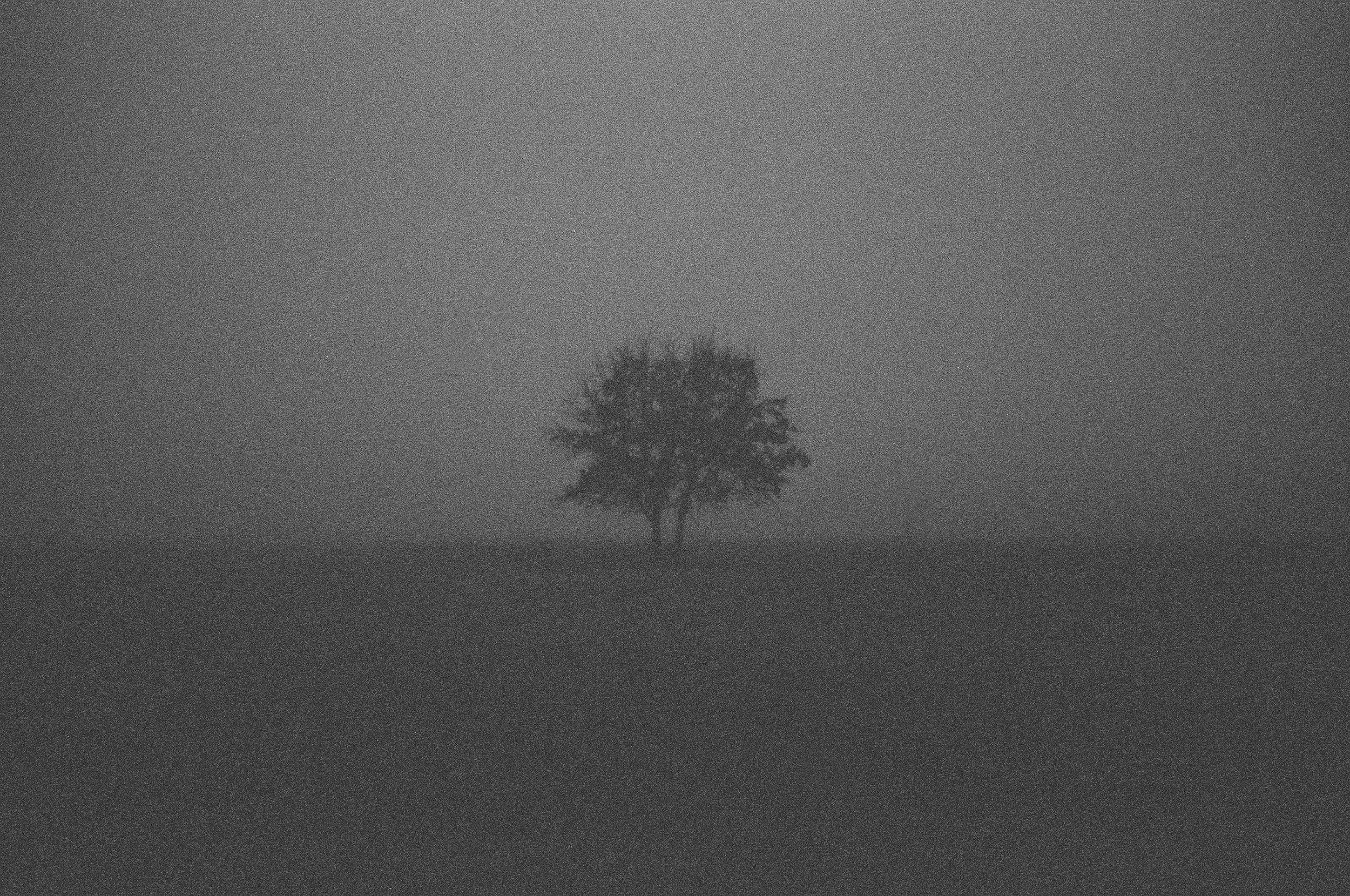 Lonesome midnights come and go.jpg