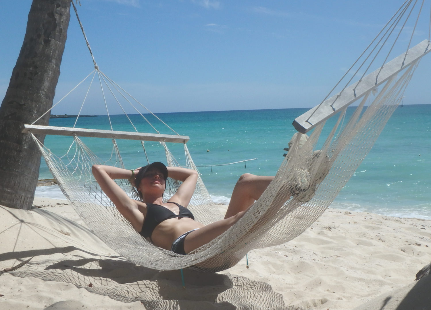 moessence-digital-design-branding-website-design-online-business-strategy-monica-orto-palm-tree-hammock.jpg