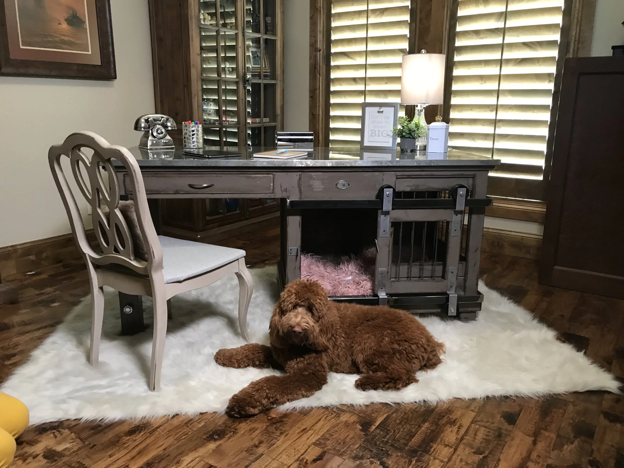 Gallery For Designer Dog Kennels