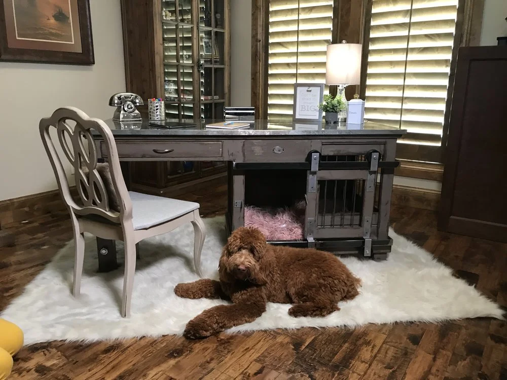 Desk Kennel