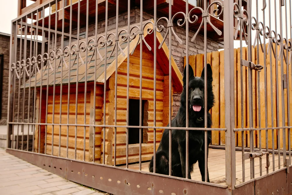 dog kennel