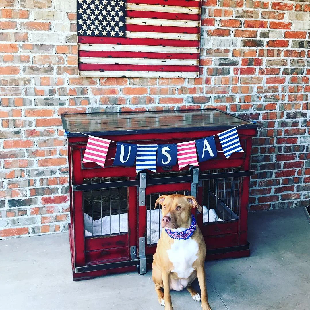 ReadySetGo! Designer Dog Kennels