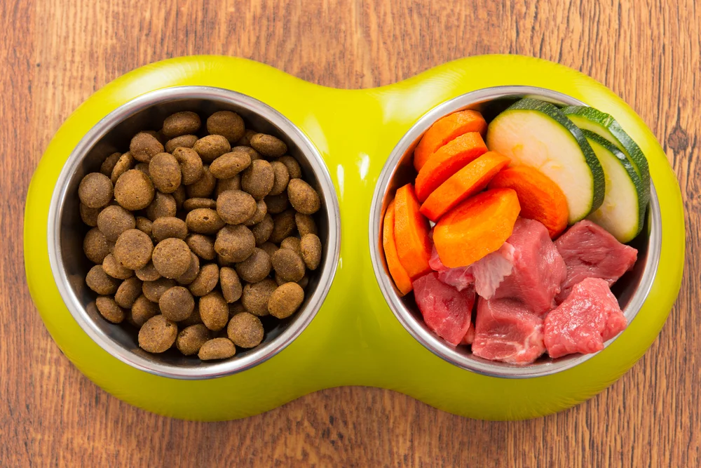 dog food