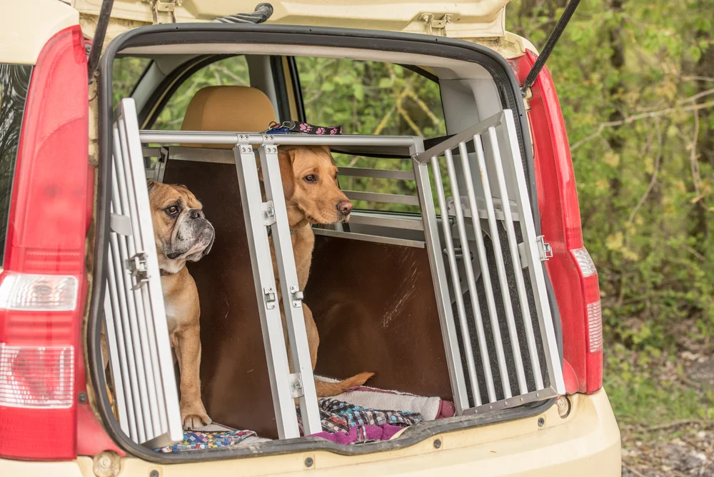 Dog Crate for Road Trips