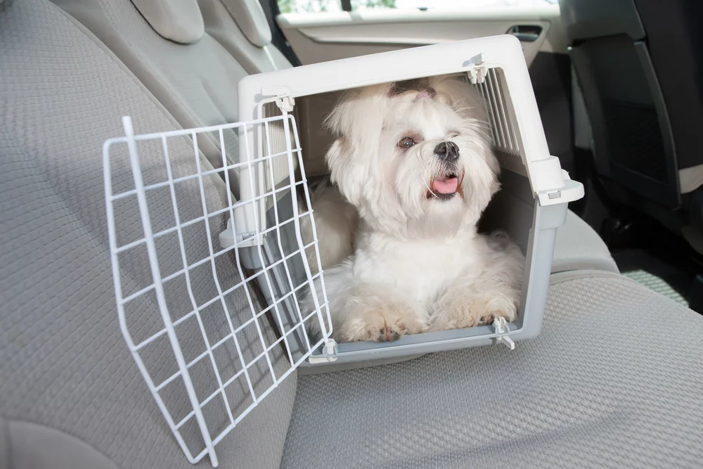 small size dog crate