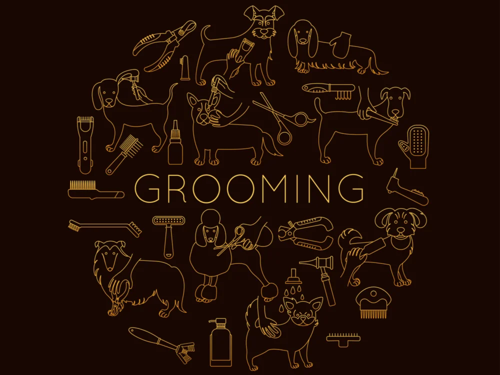 Dog Grooming