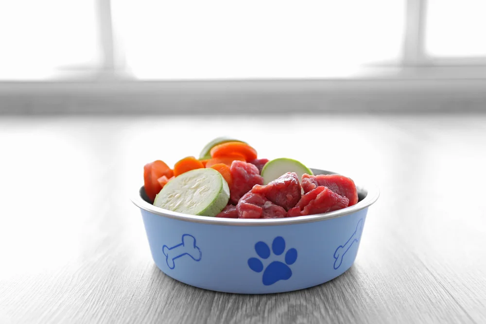 Organic Dog Food