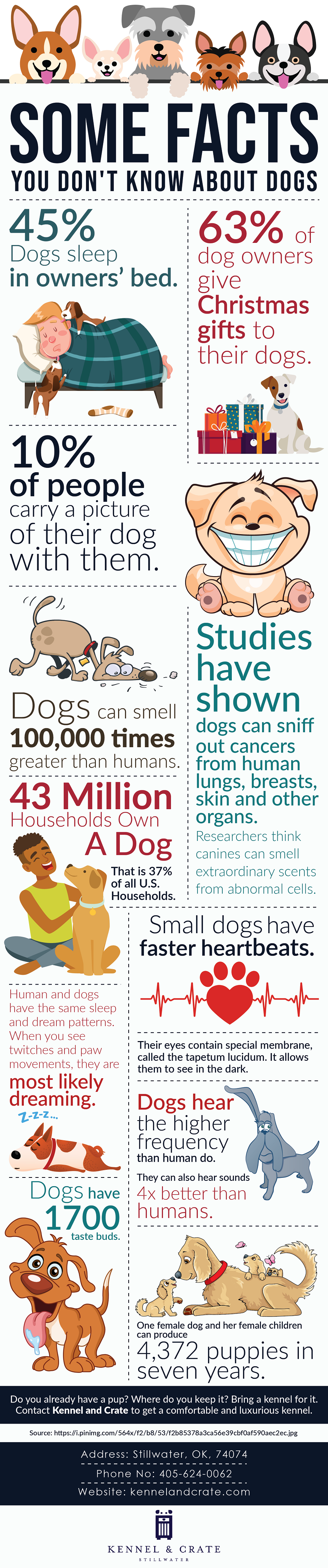 Unknown facts on dogs